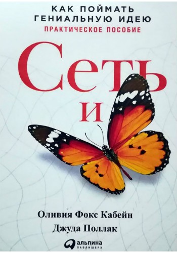 Сеть и бабочка
